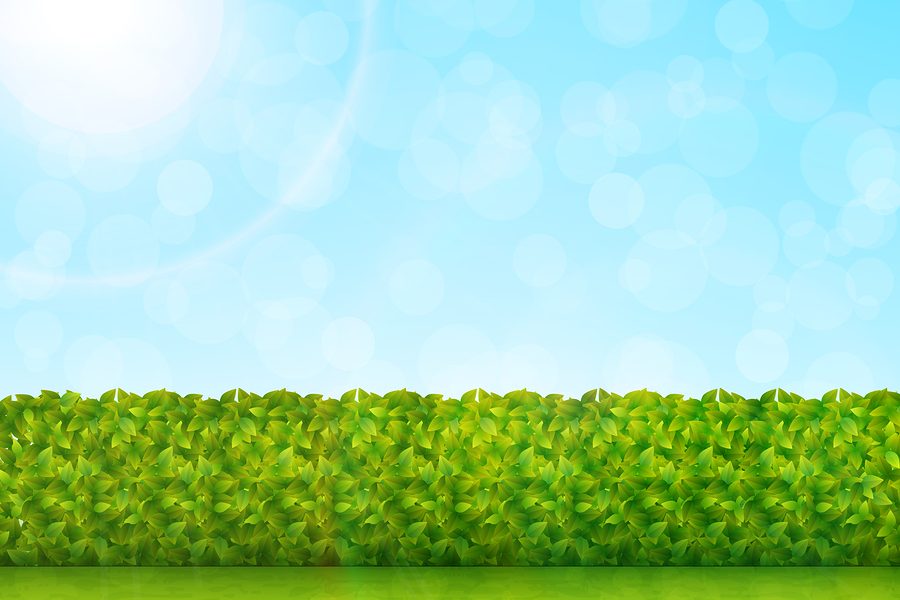 Lawn Mowing