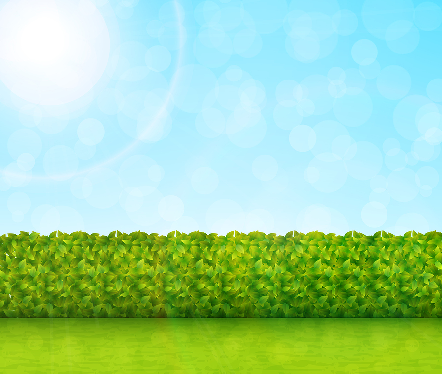 Lawn Mowing