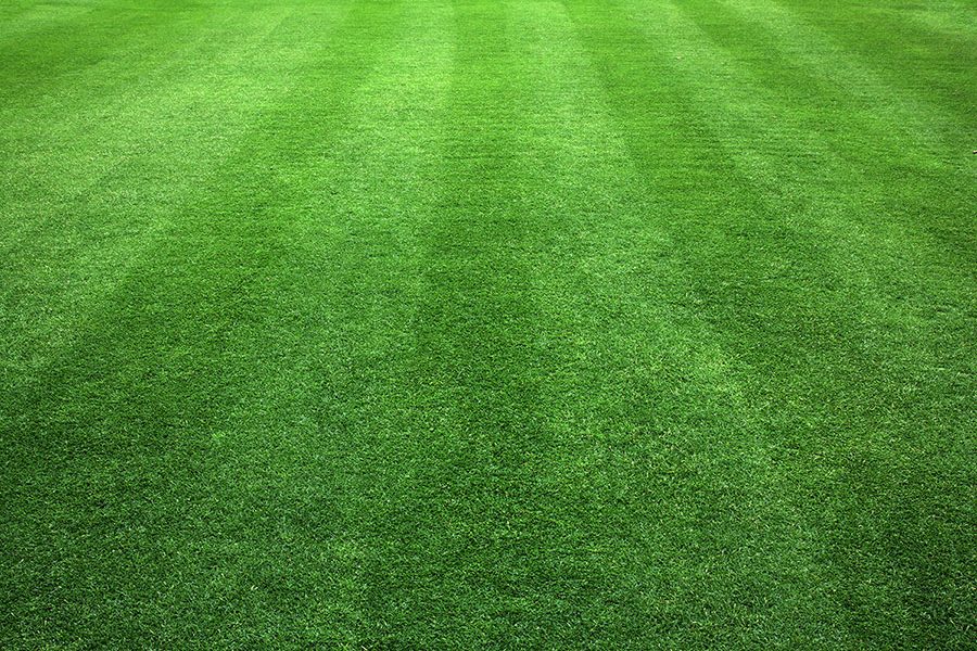 Lawn Care